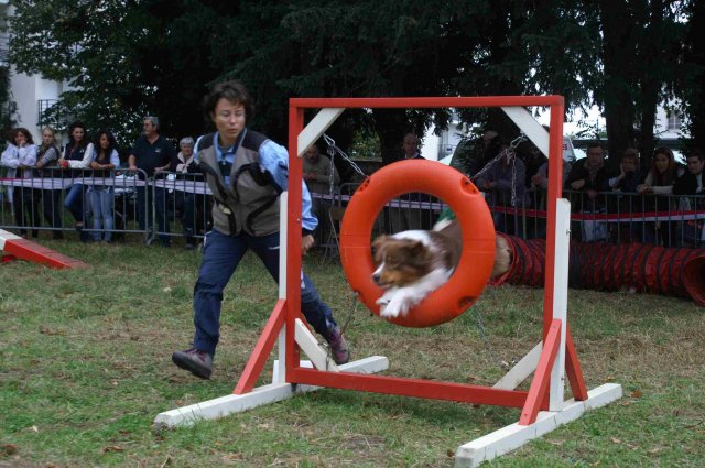 foire-haricots 2011-09-17et18